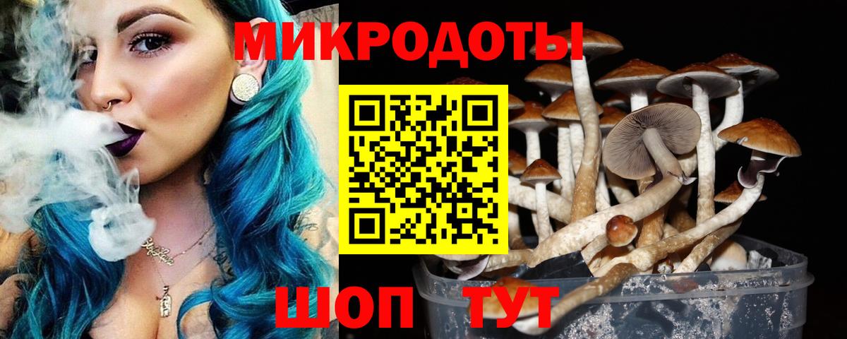 Галлюциногенные грибы Cubensis  Вход с VPN  Заринск  что такое наркотик  Псилоцибиновые грибы мицелий 